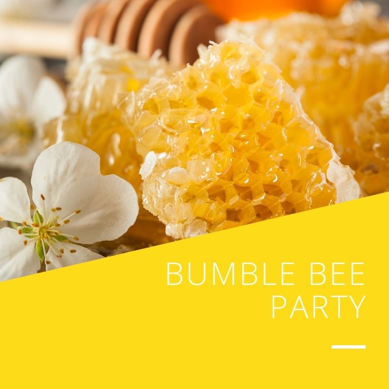 PPC Square Thumbnails - Bumble Bee